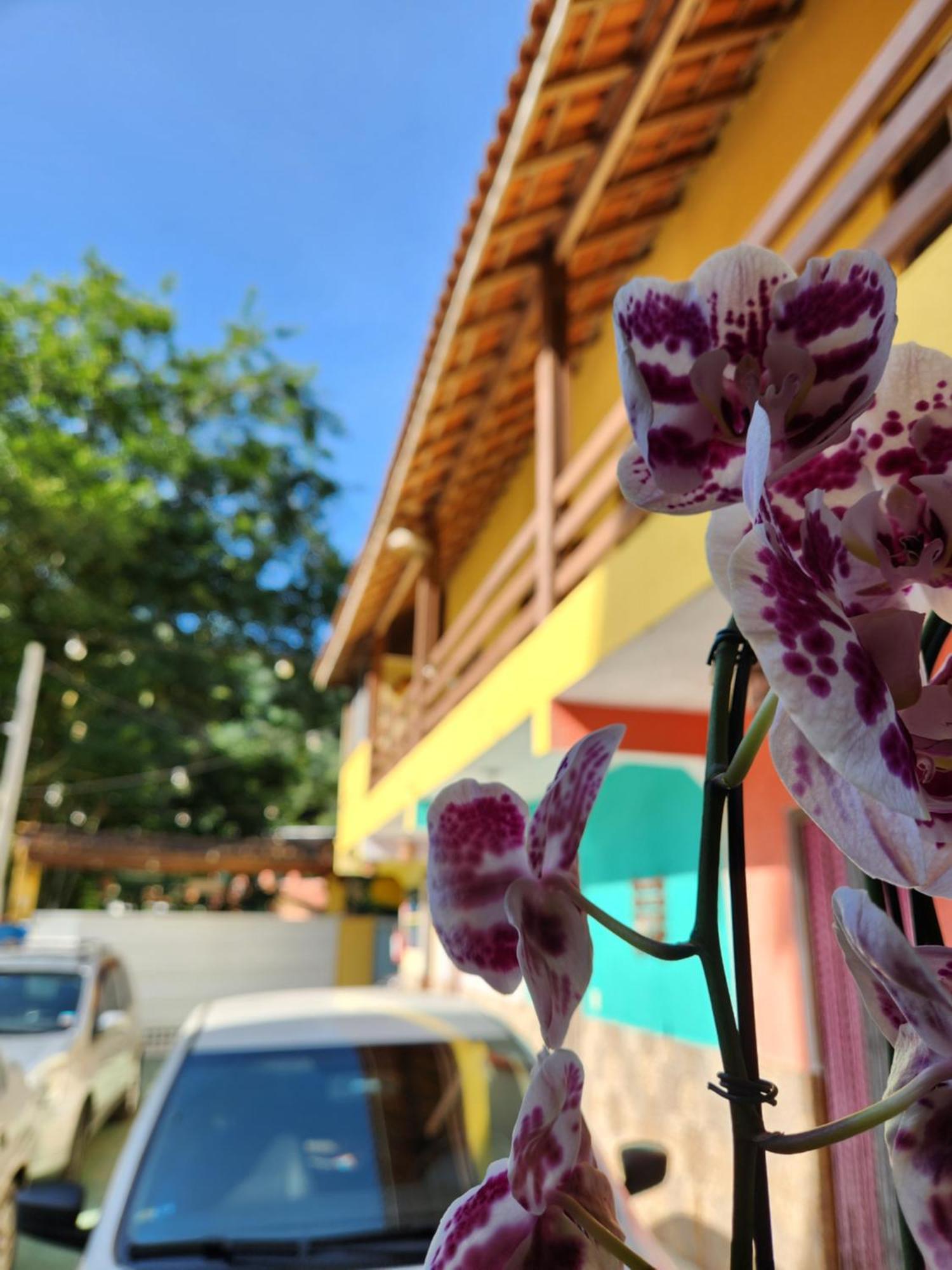 Pousada Morena Raiz Ubatuba Bagian luar foto